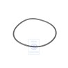 Genuine VW O-Ring - 357919659