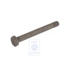 Genuine VW Hexagon Bolt - 411501239
