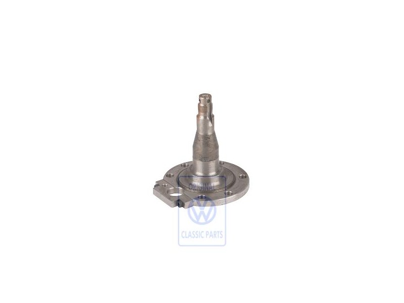 Genuine VW Stub Axle - 6K9501109