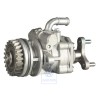 Genuine VW Vane Pump - 7L6422153A