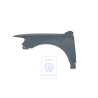 Genuine VW Wing - 7L6821101K
