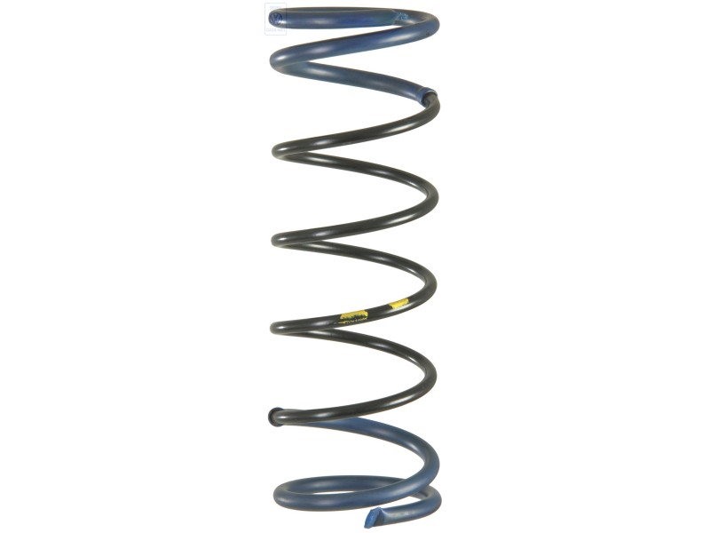 Genuine VW Coil Spring 1 Paint Mark - 861411103 951