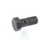Genuine VW Banjo Bolt - N 10313501