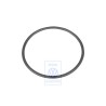 Genuine VW Seal Ring - N 90069301