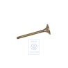 Genuine VW Exhaust Valve - TAE109611