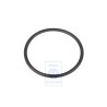 Genuine VW O-Ring - TAE121045