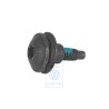 Genuine VW Hex Socket Head Bolt (Combi) - WHT000032
