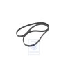 Genuine VW Poly-V-Belt - 074145933G