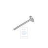 Genuine VW Inlet Valve - 051109601B