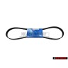 SKF V-Ribbed Belt - VKMV 6PK1153