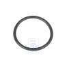 Genuine VW Seal Ring - 055129625A