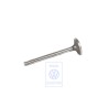 Genuine VW Inlet Valve - 068109601D