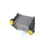 Genuine VW Charge Air Cooler - 1H0145805B