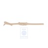 Genuine VW Sill Trim Strip Pure Beige - 1K4853371D 7G8