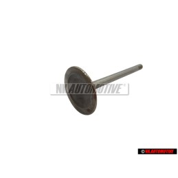 Genuine VW Inlet Valve - 078109601E