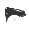 Genuine VW Wing - 6Q0821106D
