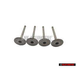 4x Genuine VW Inlet Valve - 048109601A