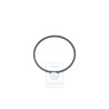 Genuine VW Oil Scraper Ring - 022107371A
