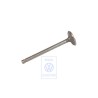 Genuine VW Inlet Valve - 059109601