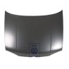 Genuine VW Bonnet - 1E0823031