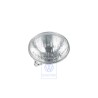 Genuine VW Headlight Insert (Halogen) - 1GM941105