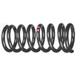Genuine VW Coil Spring Violet Paint Marks - 251411105F 952