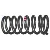 Genuine VW Coil Spring Violet Paint Marks - 251411105F 952