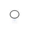 Genuine VW O-Ring - 291501317H