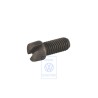 Genuine VW Adjustment Screw - 311609209